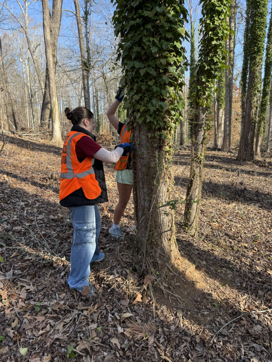SHS students Elizabeth Wilson (11) and Charlotte Oswalt (9) taking action where it counts—joining forces to clean up local parks and protect our planet, one ivy vine at a time. 